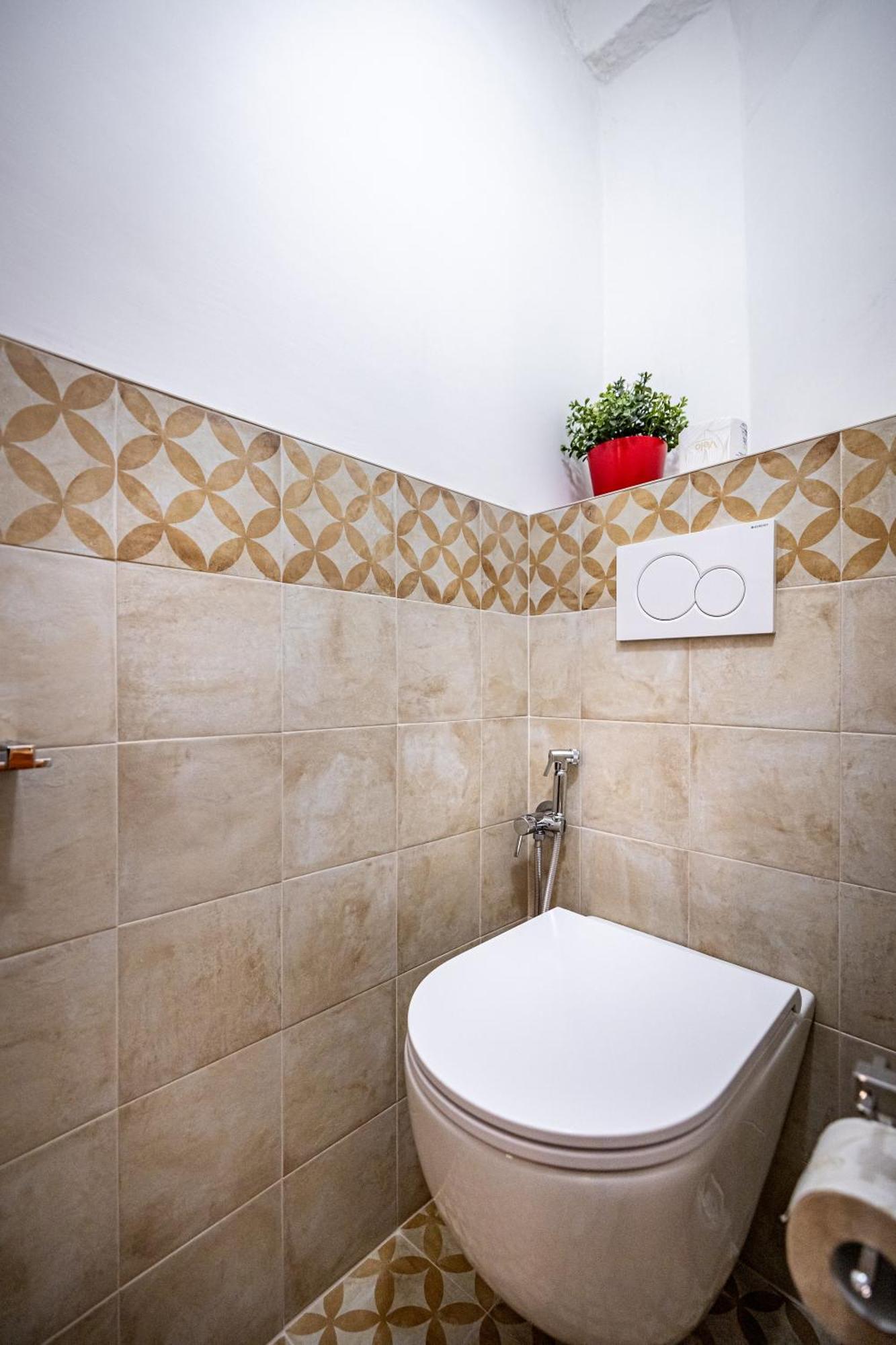 Roommo Viola * Florenz