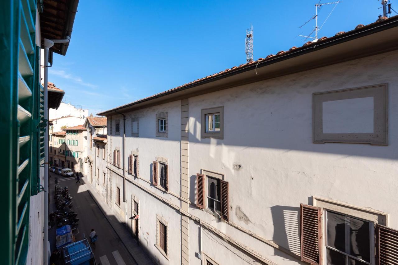 Roommo Viola Florenz
